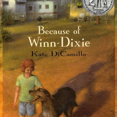 winn dixie summary|how winn dixie memes relate to the book.